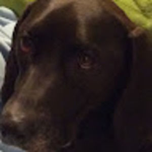 Meet your Posher, Jeff